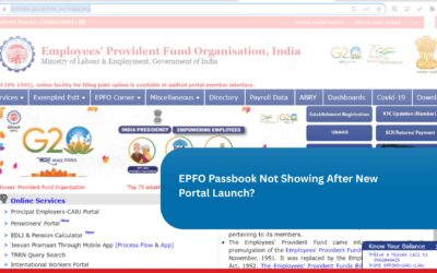 EPFO Passbook Not Showing After New Portal Launch? Here’s the Complete Explanation (2025 Update)