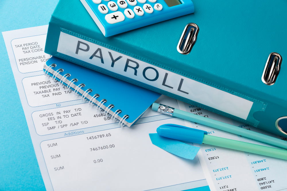 Payroll Software Pune 